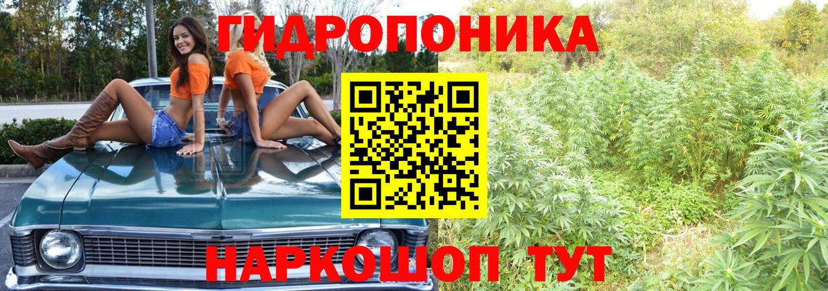 Янаул  Бошки Шишки сатива  Вход с VPN  Конопля конопля  Бошки Шишки Ganja 
